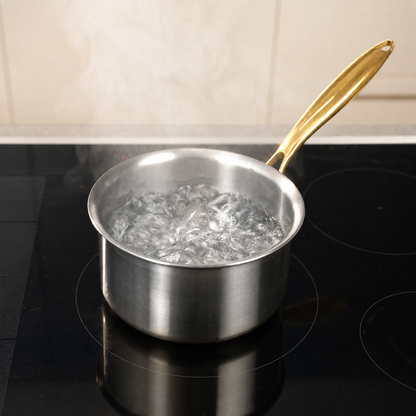 Titanium stockpot with lid